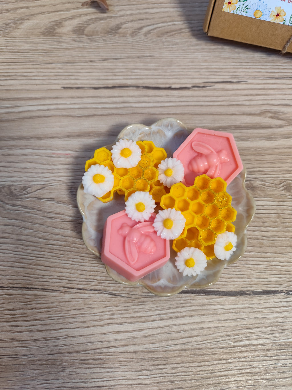 Wax melts PANAL de ABEJA