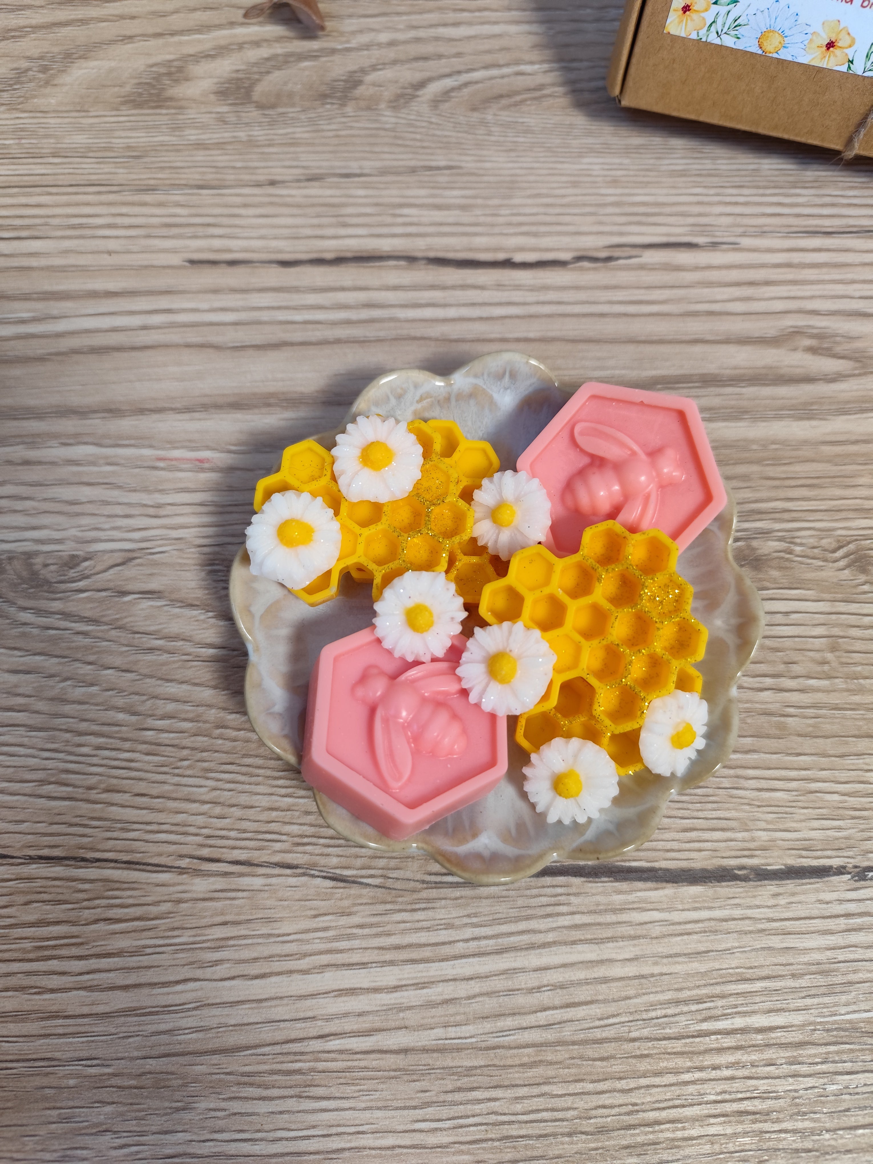 Wax melts PANAL de ABEJA